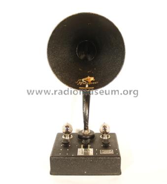 A2-R Combination ; Magnavox Co., (ID = 2034615) Speaker-P