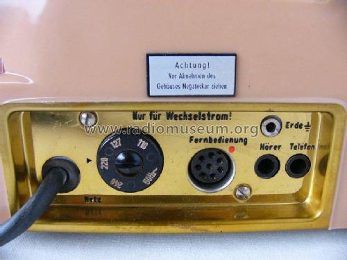 Diktina BG21; Messgerätewerk (ID = 1812772) Enrég.-R