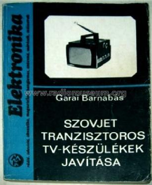 Bimex 1000 Èlektronika {Электроника} [Elektronika] VL-100 {ВЛ-100}; Mezon Works, (ID = 1190284) Television