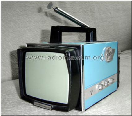 Rigonda M ; Mezon Works, (ID = 186166) Television