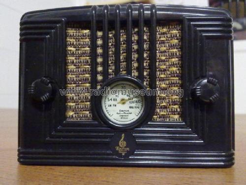 Altona 980-100; Micron Technology, (ID = 1195869) Radio