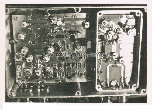 Linear Transverter MMT 1296/144; Microwave Modules (ID = 2829832) Amateur-D