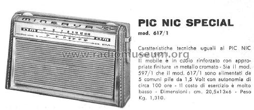 Pic-Nic S Special 617/1; Minerva Ital-Minerva (ID = 2049211) Radio