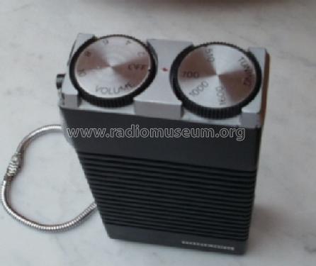 TR-100; Minerva Ital-Minerva (ID = 773086) Radio