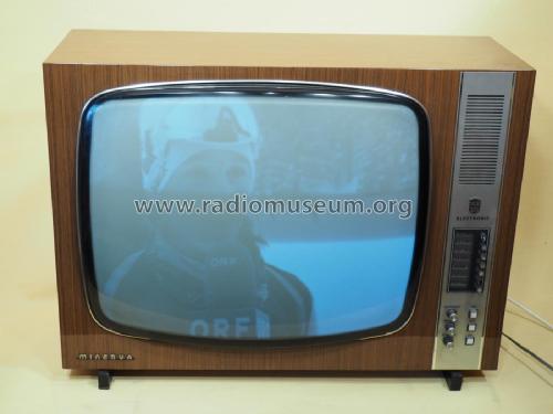 Electronic 699; Minerva-Radio (ID = 1961543) Television