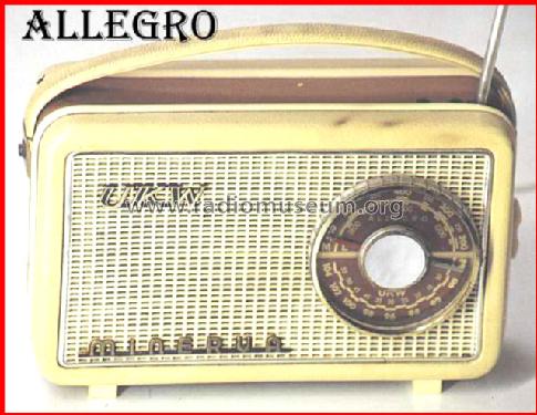 UKW Allegro 621; Minerva-Radio (ID = 32448) Radio