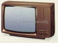 P-1501; Minerva-Radio (ID = 809150) Television