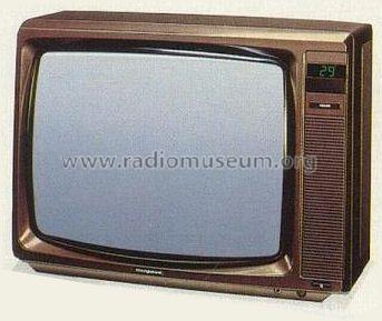 T-2201TP; Minerva-Radio (ID = 809154) Television