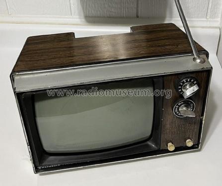 Solid State 9 XP263HW-1 Ch=H9TS-460-Q05; Motorola Inc. ex (ID = 2874884) Television