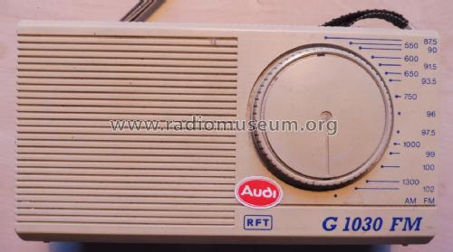 Taschenradio G1030FM; Nachrichtenelektroni (ID = 2339212) Radio