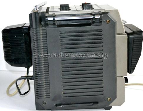 Television & FM AM Radio - IC Transistor Portable 5000-312; NEC Corporation, (ID = 2600254) TV-Radio