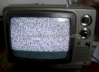 31 cm Color Portable Art.-Nr. CT-252P 2B2; NEC Corporation, (ID = 1241058) Television