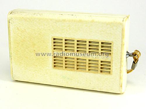 6 Transistor NT-6M21; NEC Corporation, (ID = 2307847) Radio