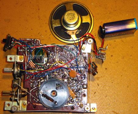 AM/FM 12 Transistor ; Neckermann-Versand (ID = 1537921) Radio