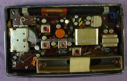 Hi-Fi 10 Transistors 101; Nipco Mfg. Co., Ltd. (ID = 1535373) Radio