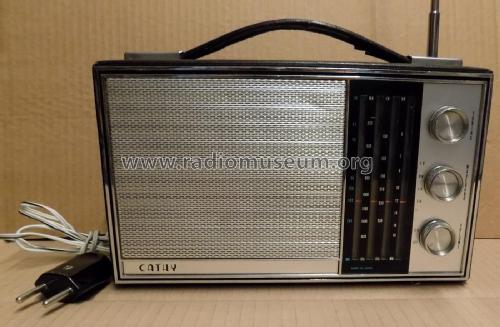 Cathy NT-310; Nissho Electronics (ID = 1967554) Radio