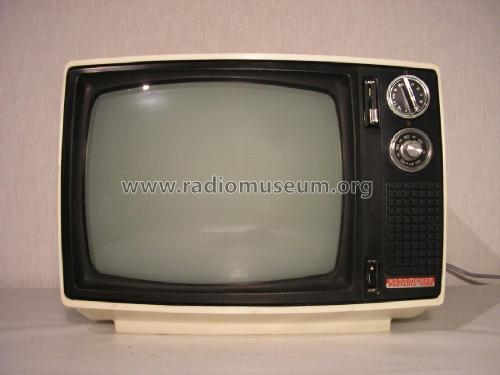 Portable 2000 976.236.A; Nordmende, (ID = 1780427) Televisión