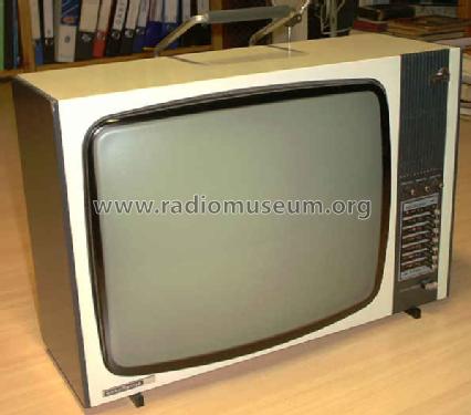 Spectra Portable ; Nordmende, (ID = 243866) Televisore