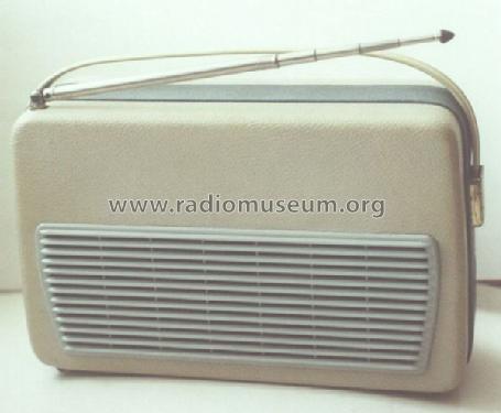 Goldhorn TK120; Noris Marke, Leo (ID = 357843) Radio