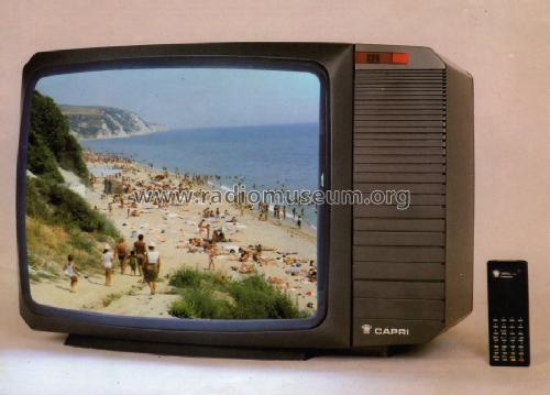 Capri Colour Television CTV 3167/K; Orion; Budapest (ID = 1093538) Televisore