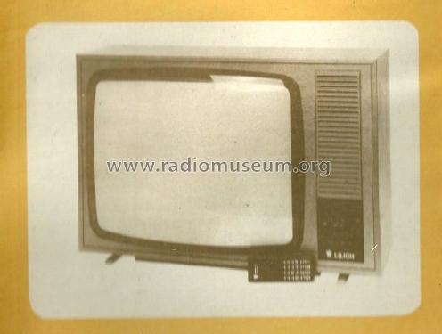 Colour Television Receiver Liliom CTS672/K; Orion; Budapest (ID = 1988728) Television