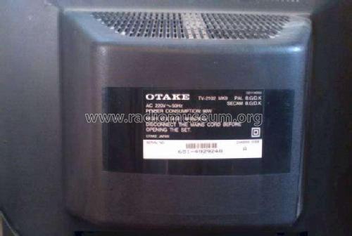 Otake TV-2102 MK9; Orion Electric Co., (ID = 1813051) Televisión