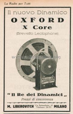 Electrodynamic Speaker X Core; Oxford Tartak Radio (ID = 2739198) Speaker-P