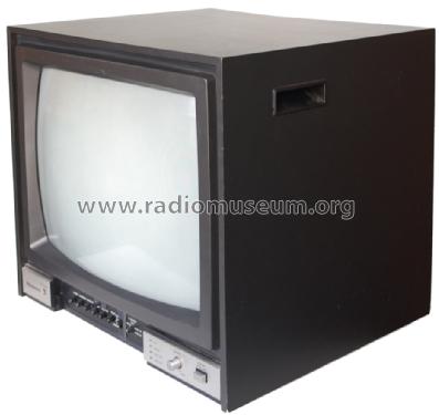 Color TV TC-2000EUM; Panasonic, (ID = 1596010) Television