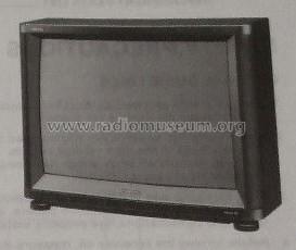Colour Television TX-33A1G Ch= Alpha-2W; Panasonic, (ID = 1724724) Fernseh-E