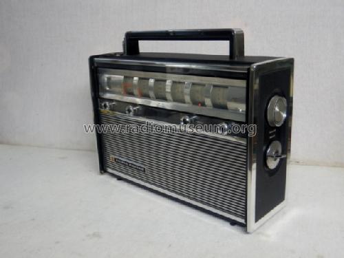 FM-AM 6-Band Radio RF-3000N; Panasonic, (ID = 1719116) Radio