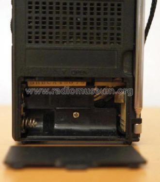 FM AM RF-522; Panasonic, (ID = 2967468) Radio