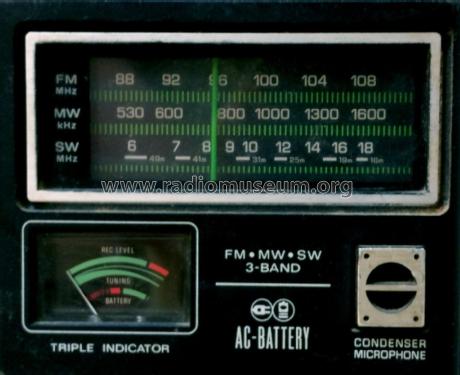 FM. MW. SW 3 Band Radio Cassette Recorder RF-5210 JBS; Panasonic, (ID = 2290738) Radio