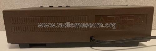 Panasonic FM-AM 2-Band Fluorescent Clock Radio RC-6130; Panasonic, (ID = 2859969) Radio