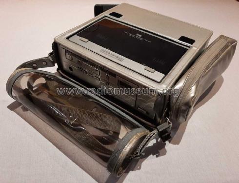 Panasonic Video Cassette Recorder NV-100-EG; Panasonic, (ID = 2605667) R-Player