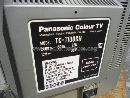 Quintrix Video Monitor - Colour TV TC-1100GN; Panasonic, (ID = 1661365) Television
