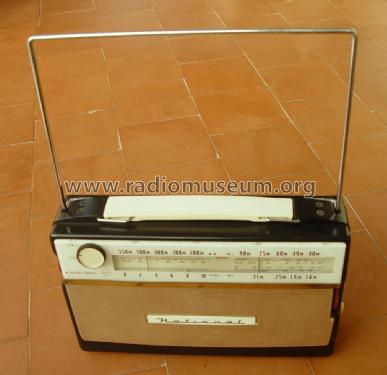 Portable Radio Receiver EW-190; Panasonic, (ID = 2428423) Radio