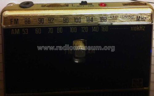 FM-AM 2-Band Receiver RF-033; Panasonic, (ID = 948573) Radio