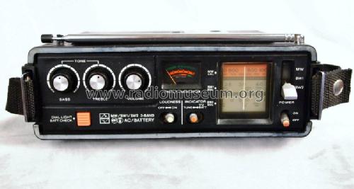 GX300S 3-Band 14-Transistor R-388B; Panasonic, (ID = 1257154) Radio