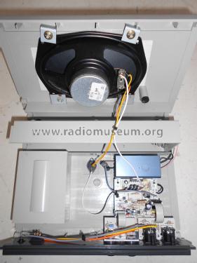 Portable Sound System TA 102; PASO S.p.A.; Lainate (ID = 2343439) Ampl/Mixer