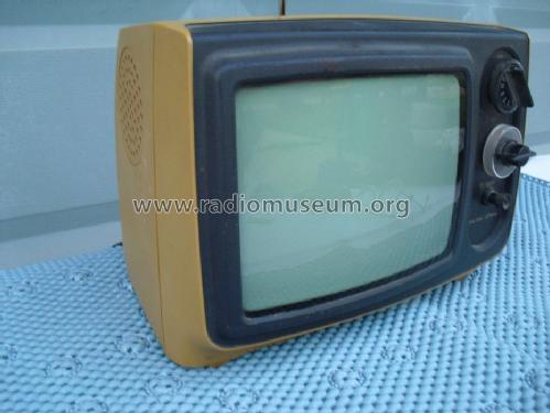 Transistor TV Receiver 685-1005; JCPenney, Penney's, (ID = 1688147) Television