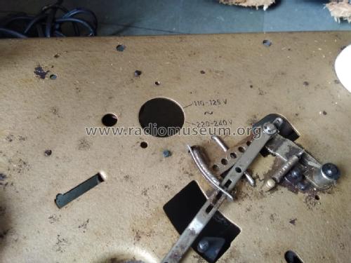 Rex A 59 Stereo; Perpetuum-Ebner PE; (ID = 2657084) Reg-Riprod