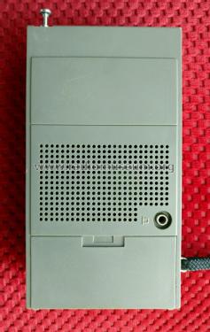 Two Band Receiver D-1000; Philips 飞利浦; (ID = 2554262) Radio