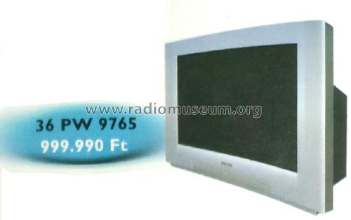 36PW9765; Philips; Eindhoven (ID = 2575687) Televisore