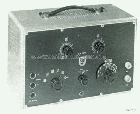 Fernseh-Prüfgenerator GM2891 /60; Philips; Eindhoven (ID = 1314164) Equipment