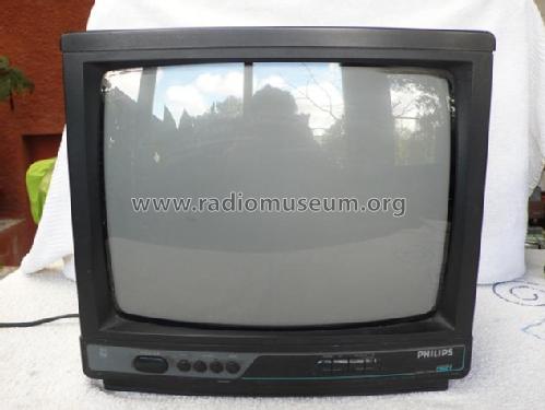 14GR1021/10B; Philips Ibérica, (ID = 1614105) Television