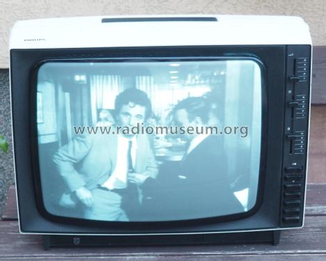Raffael 44 Professional 17B321 Ch= E1; Philips - Österreich (ID = 2282849) Television