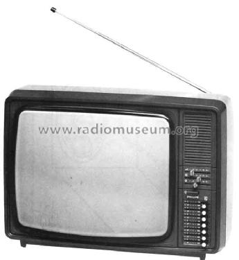 Raffael 620 17B620 /50S Ch= E2; Philips - Österreich (ID = 304009) Television