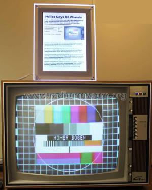 Goya D25K760 Ch= K6; Philips Radios - (ID = 2953006) Television