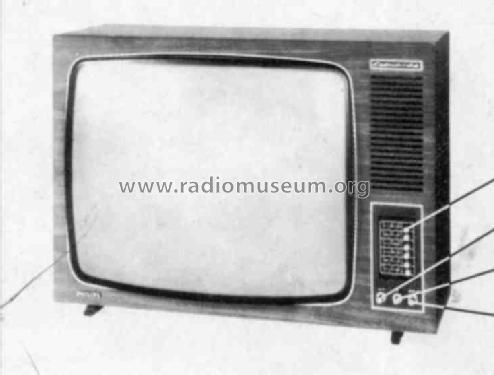 Leonardo D24T112 D 24 T 112 Ch=D6N; Philips Radios - (ID = 243638) Television