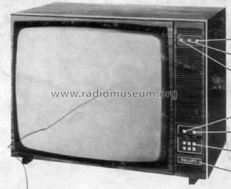 Michelangelo D24T110 D 24 T 110 Ch=D6N; Philips Radios - (ID = 243642) Télévision